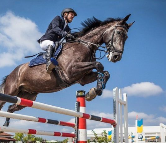 Equitation-Grand concours national de saut d’obstacles une et deux étoiles: Les cavaliers Mahi et Ferradj se distinguent à Tipaza