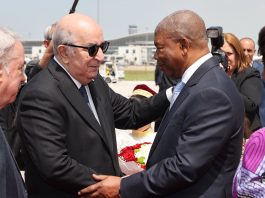 Relations algéro-angolaises et coopération africaine: Djedi salue un partenariat stratégique avec l’Angola