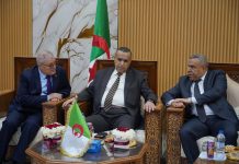 Transition énergétique et offensive algérienne sur les marchés africains: Adjal lance la centrale solaire de 200 MW d’El-Meghaïer et renforce le partenariat énergétique avec l’Égypte