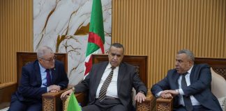 Transition énergétique et offensive algérienne sur les marchés africains: Adjal lance la centrale solaire de 200 MW d’El-Meghaïer et renforce le partenariat énergétique avec l’Égypte