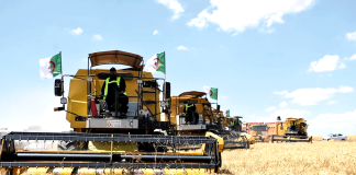 Béchar mise sur l’agriculture et l’entrepreneuriat: Une convention signée entre le secteur agricole et l’UNPE pour dynamiser les filières stratégiques