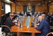 Hydrogène vert: Alger et Berlin renforcent leur partenariat énergétique