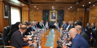Hydrogène vert: Alger et Berlin renforcent leur partenariat énergétique