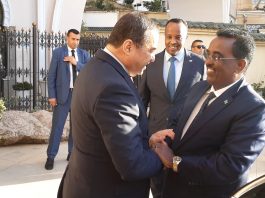 Coopération énergétique algéro-somalienne: Alger et Mogadiscio misent sur l’expertise pétrolière