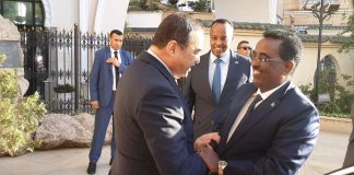 Coopération énergétique algéro-somalienne: Alger et Mogadiscio misent sur l’expertise pétrolière