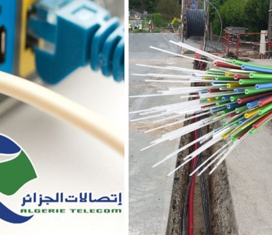 El-Bayadh: Plus de 370 km de fibre optique en cours de réalisation