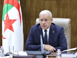 L’Union parlementaire arabe dénonce une violation du droit international et appelle à des sanctions immédiates: Boughali condamne l’attaque contre la flottille humanitaire