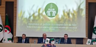 Sécurité des infrastructures céréalières: La CNMA plaide pour une meilleure maîtrise des risques