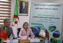 Alger multiplie les partenariats pour relever les défis climatiques: L’Algérie renforce sa coopération avec la Mauritanie et le Portugal