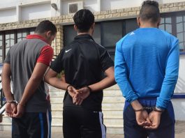Démantèlement d’un réseau criminel et saisie de plus de 16 kg de kif traité à Batna