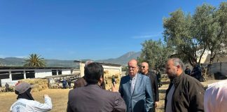 Préparatifs de l’Aïd El-Adha: Les wilayas mobilisées pour assurer la continuité des services publics