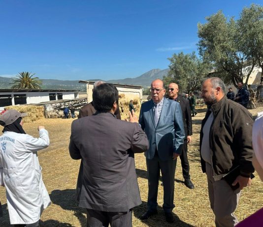 Préparatifs de l’Aïd El-Adha: Les wilayas mobilisées pour assurer la continuité des services publics