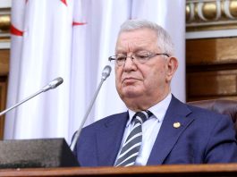 Représentation de l’Algérie à Djibouti: Nasri assistera à l’investiture du président djiboutien