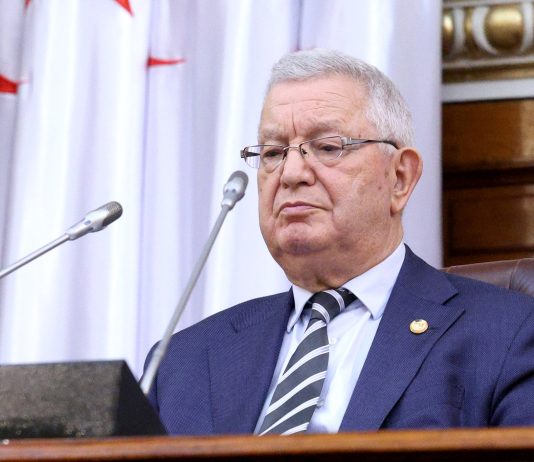 Représentation de l’Algérie à Djibouti: Nasri assistera à l’investiture du président djiboutien