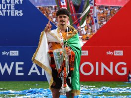 Championship: Belloumi et Hull accèdent en PL