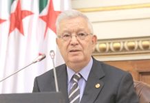 Protection de l’enfance: Nasri réaffirme l’engagement de l’Algérie