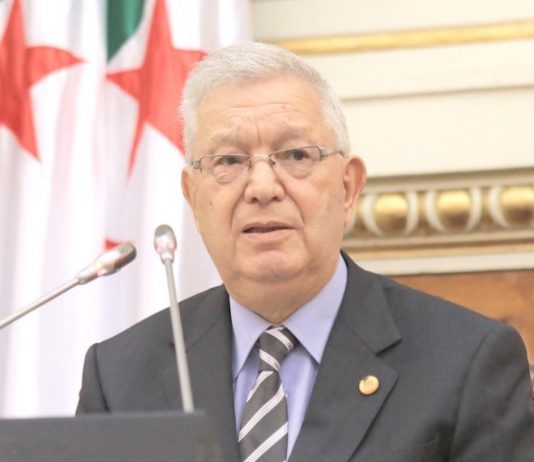 Protection de l’enfance: Nasri réaffirme l’engagement de l’Algérie