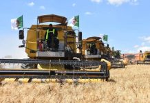 Moisson-battage: Le Nord se prépare à une campagne prometteuse