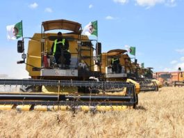 Moisson-battage: Le Nord se prépare à une campagne prometteuse