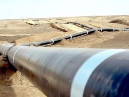 Du gaz à l’influence…: L’Algérie mène le grand pari de l’Afrique
