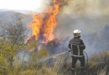 Mostaganem:Installation de 13 tours de vigie dans le cadre de la campagne de prévention et de lutte contre les incendies de forêts