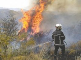 Mostaganem:Installation de 13 tours de vigie dans le cadre de la campagne de prévention et de lutte contre les incendies de forêts