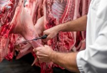 Batna :9 abattoirs publics et privés et 87 vétérinaires mobilisés pour l’Aïd El-Adha