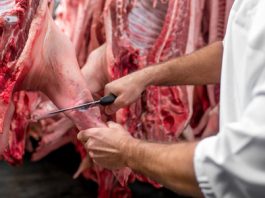 Batna :9 abattoirs publics et privés et 87 vétérinaires mobilisés pour l’Aïd El-Adha