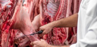 Batna :9 abattoirs publics et privés et 87 vétérinaires mobilisés pour l’Aïd El-Adha