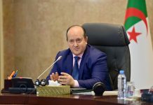 Réunion du gouvernement présidée par Sifi Ghrieb: Radioprotection et cartographie sociale au cœur des priorités gouvernementales