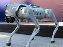 Coupe du monde 2026: Des robots-chiens mobilisés pour sécuriser les stades
