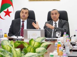 Politique énergétique: Arkab et Adjal tracent les besoins de demain