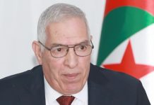 Mémoire nationale et crimes coloniaux: Tacherift : «les enfumades des Ouled Riah demeurent un symbole de résistance»