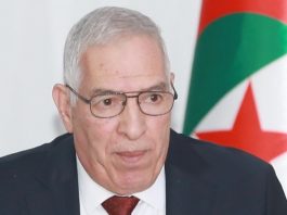 Mémoire nationale et crimes coloniaux: Tacherift : «les enfumades des Ouled Riah demeurent un symbole de résistance»