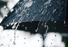 Des pluies sur cinq wilayas du pays à partir de dimanche après midi