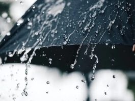 Des pluies sur cinq wilayas du pays à partir de dimanche après midi