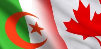 Coopération algéro-canadienne dans les mines: Alger et Ottawa explorent de nouveaux partenariats miniers