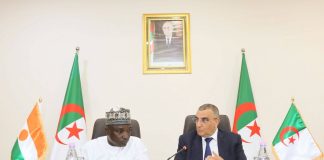 Les infrastructures au service de l’intégration régionale: La Transsaharienne rapproche davantage Alger et Niamey