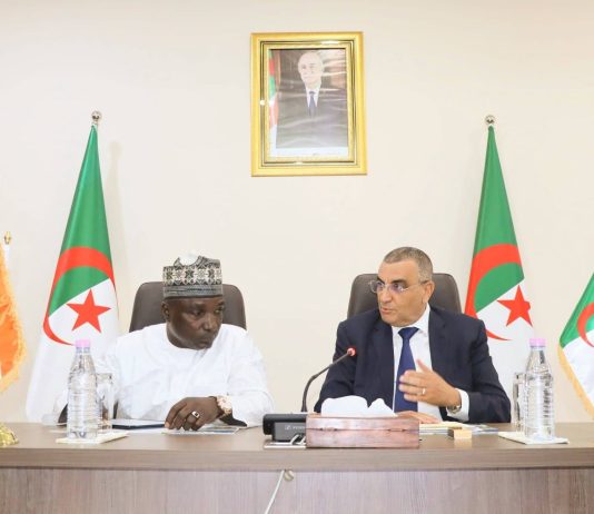 Les infrastructures au service de l’intégration régionale: Le Transsaharien rapproche davantage Alger et Niamey