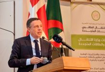 Transition énergétique: T-MED, l’atout industriel de l’Algérie