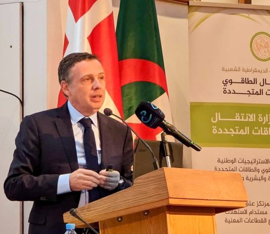 Transition énergétique: T-MED, l’atout industriel de l’Algérie