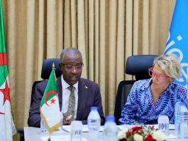 Jeunesse: Le CSJ et l’UNICEF renouvellent leur partenariat pour 2026-2027