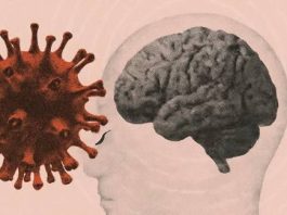 Une étude menée sur près d’un million de patients vient de révéler un lien inattendu entre le vaccin contre la grippe et la maladie d’Alzheimer