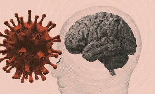 Une étude menée sur près d’un million de patients vient de révéler un lien inattendu entre le vaccin contre la grippe et la maladie d’Alzheimer