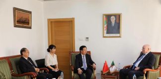 Partenariat algéro-chinois: Alger et Pékin veulent accélérer leur coopération industrielle
