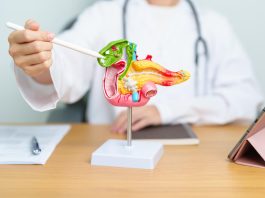 Cancer du pancréas: Une découverte ouvre la voie à de nouveaux traitements