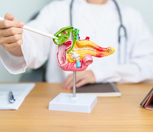 Cancer du pancréas: Une découverte ouvre la voie à de nouveaux traitements