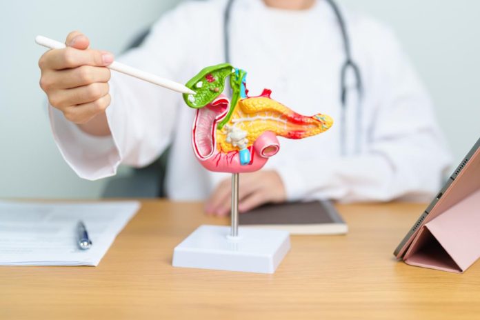 PANCREAS