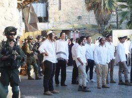 Les forces sionistes impliquées dans les attaques de colons contre les Palestiniens