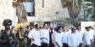 Les forces sionistes impliquées dans les attaques de colons contre les Palestiniens